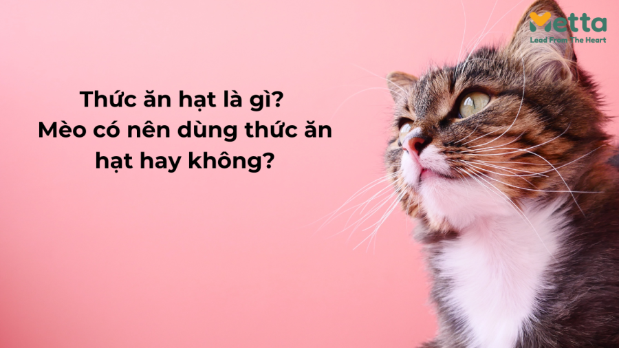 Thức ăn Hạt Là Gì