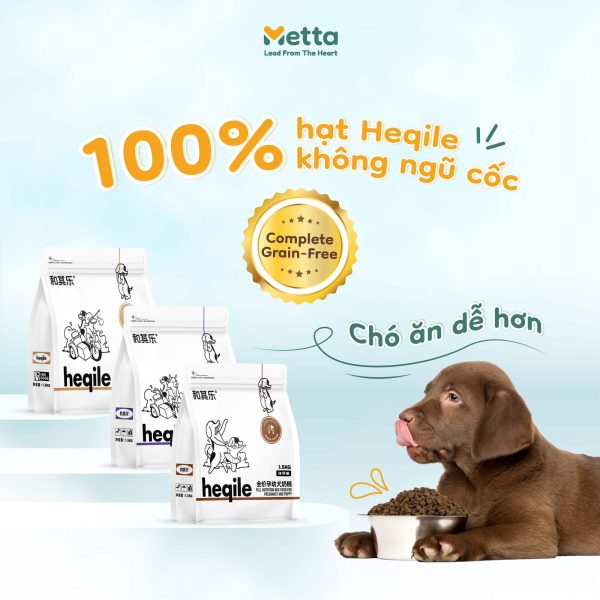 HẠt Heqile KhÔng NgŨ CỐc Cho ChÓ 04