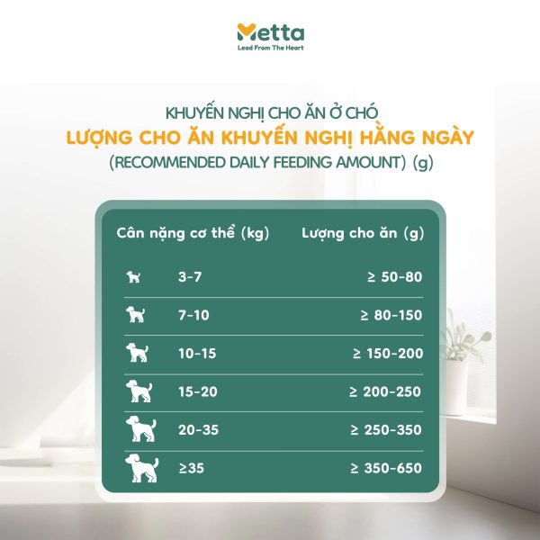 Khuyến Nghị Cho ăn Hạt Heqile Không Ngũ Cốc Dành Cho Chó
