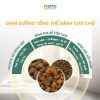 Lợi ích Của Hạt Heqile Không Ngũ Cốc Dành Cho Chó