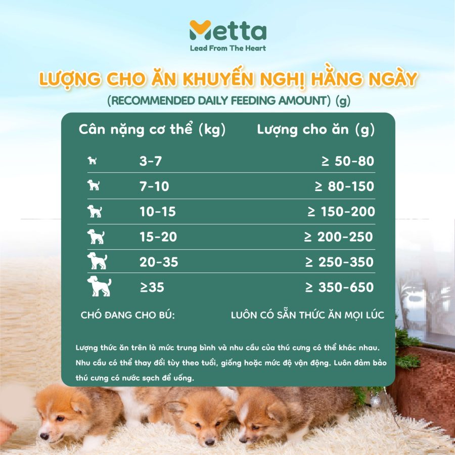 Khuyến Nghị Cho ăn Chó Mẹ Và Chó Con
