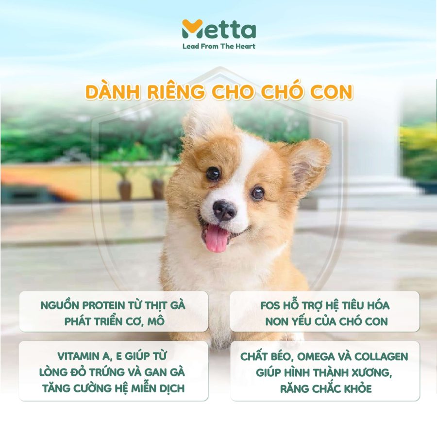 Lợi ích Dành Riêng Chó Con