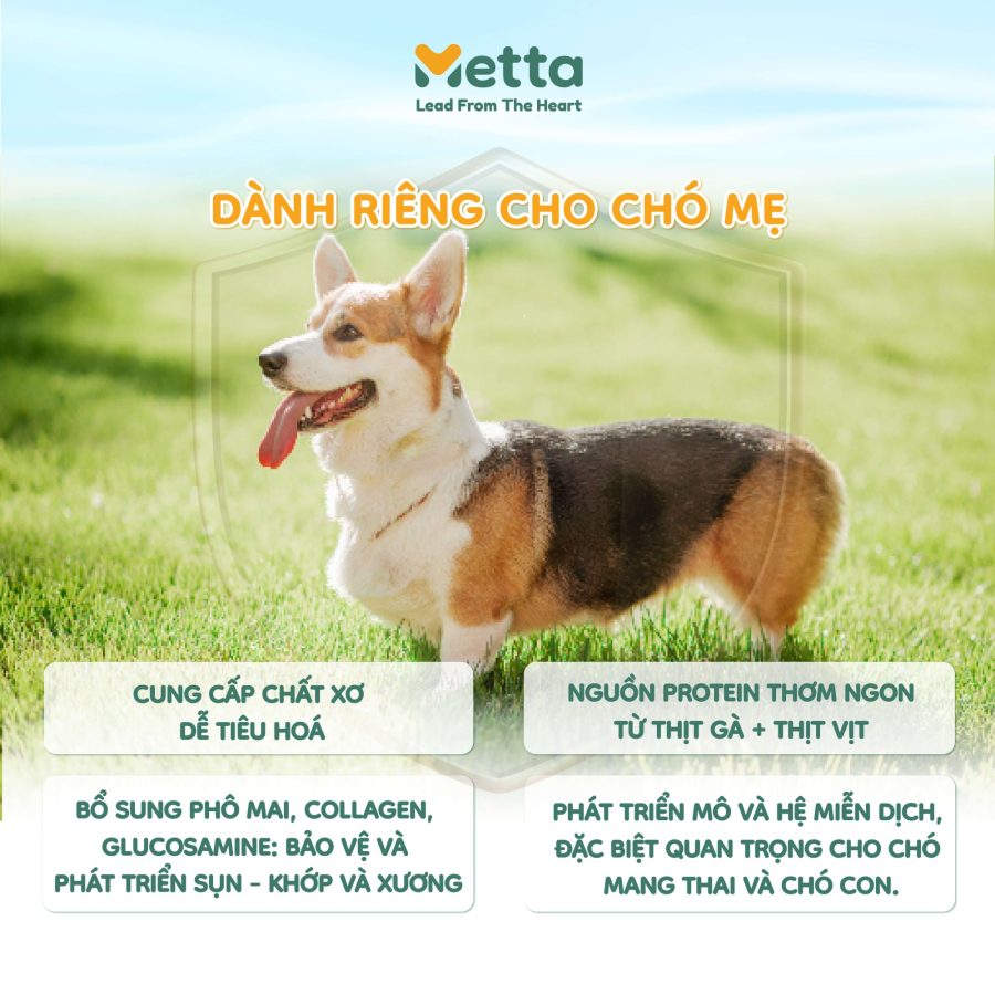 Lợi ích Dành Riêng Chó Mẹ