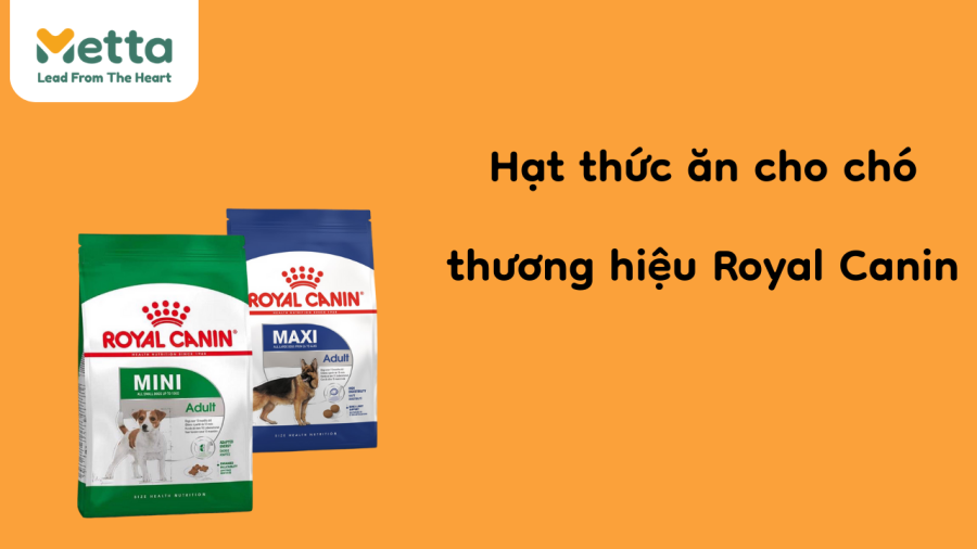Hạt Thức ăn Cho Chó Thương Hiệu Royal Canin