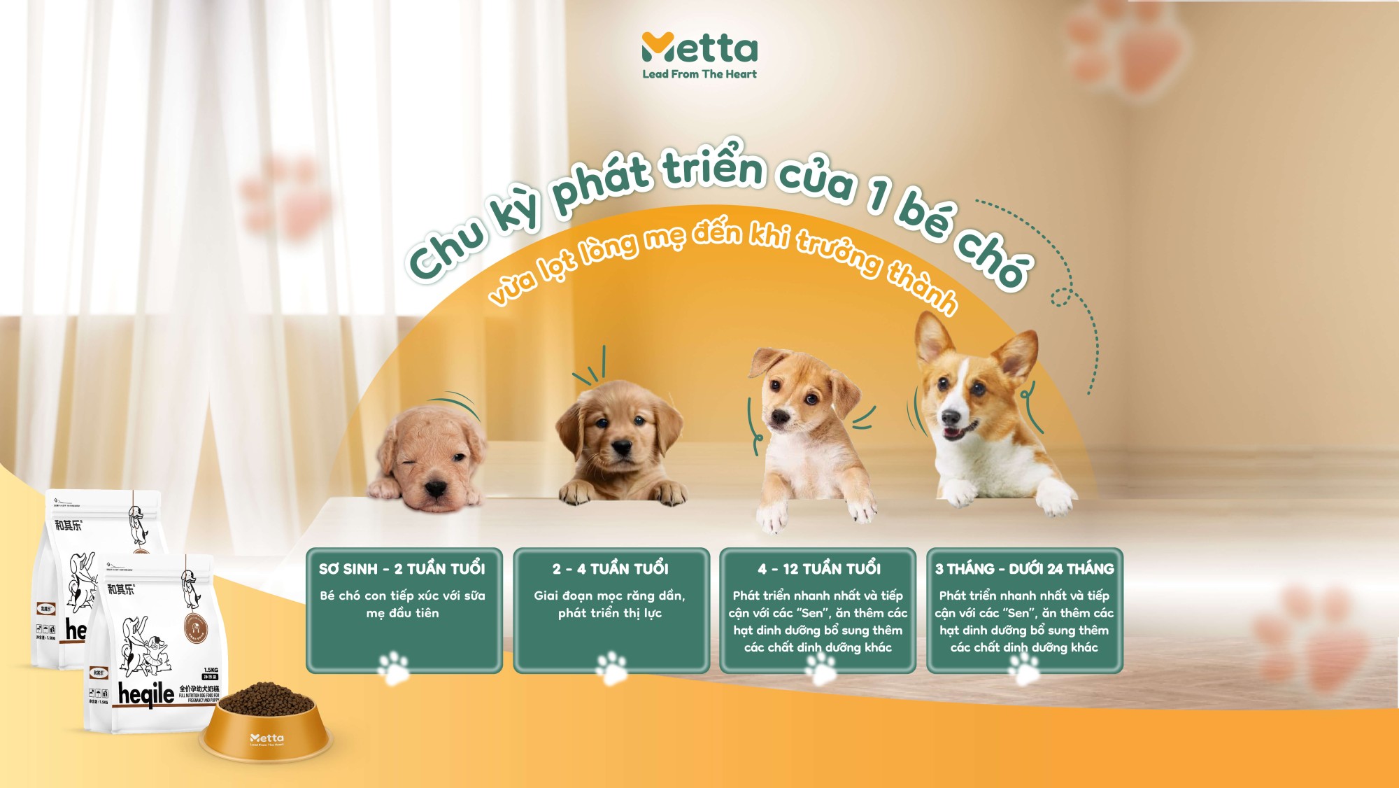Chu Ky Phat Trien Cua Cho Con
