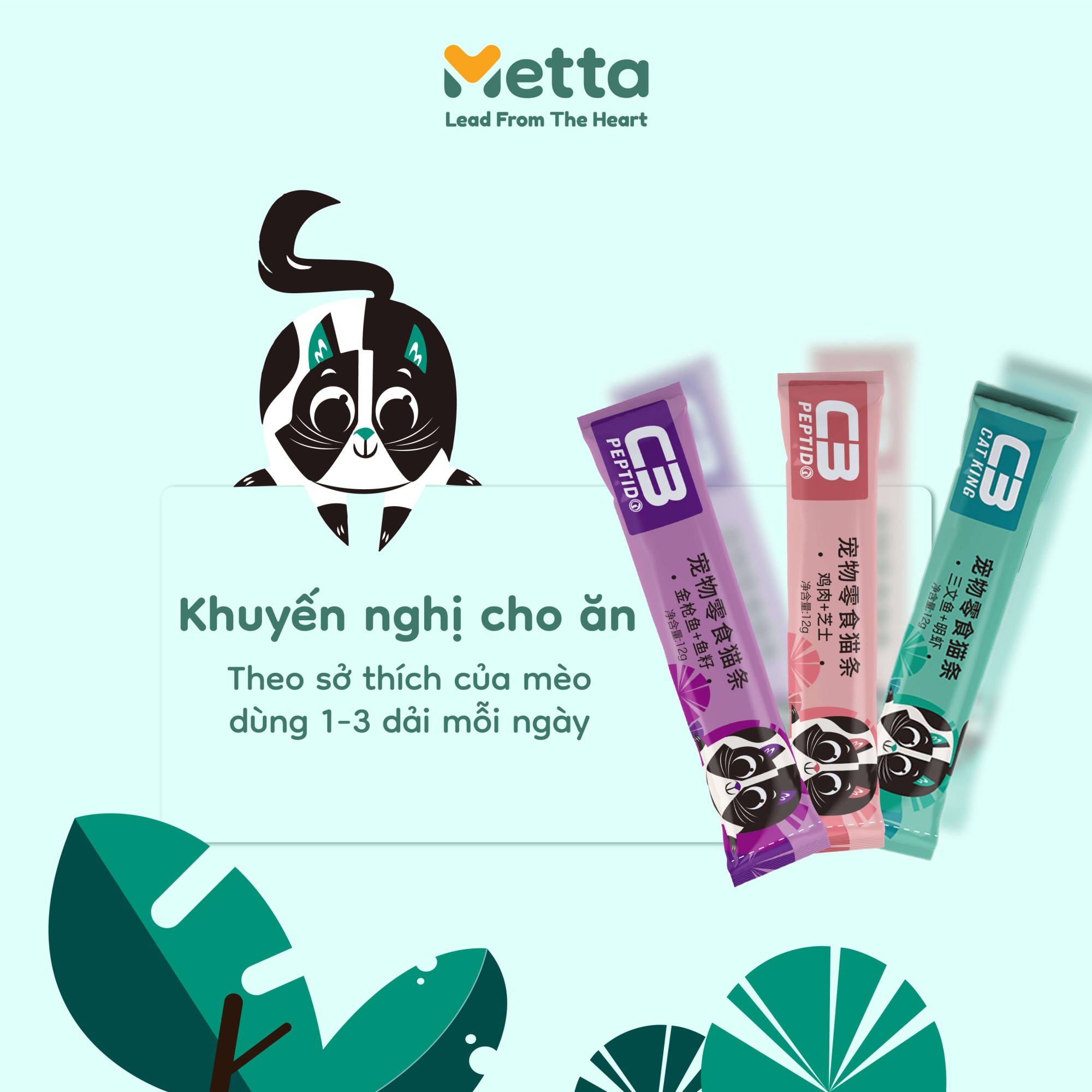 Khuyến Nghị Súp Thưởng Creamy C3 Peptido Khuyến Nghị Súp Thưởng Creamy C3 Peptido